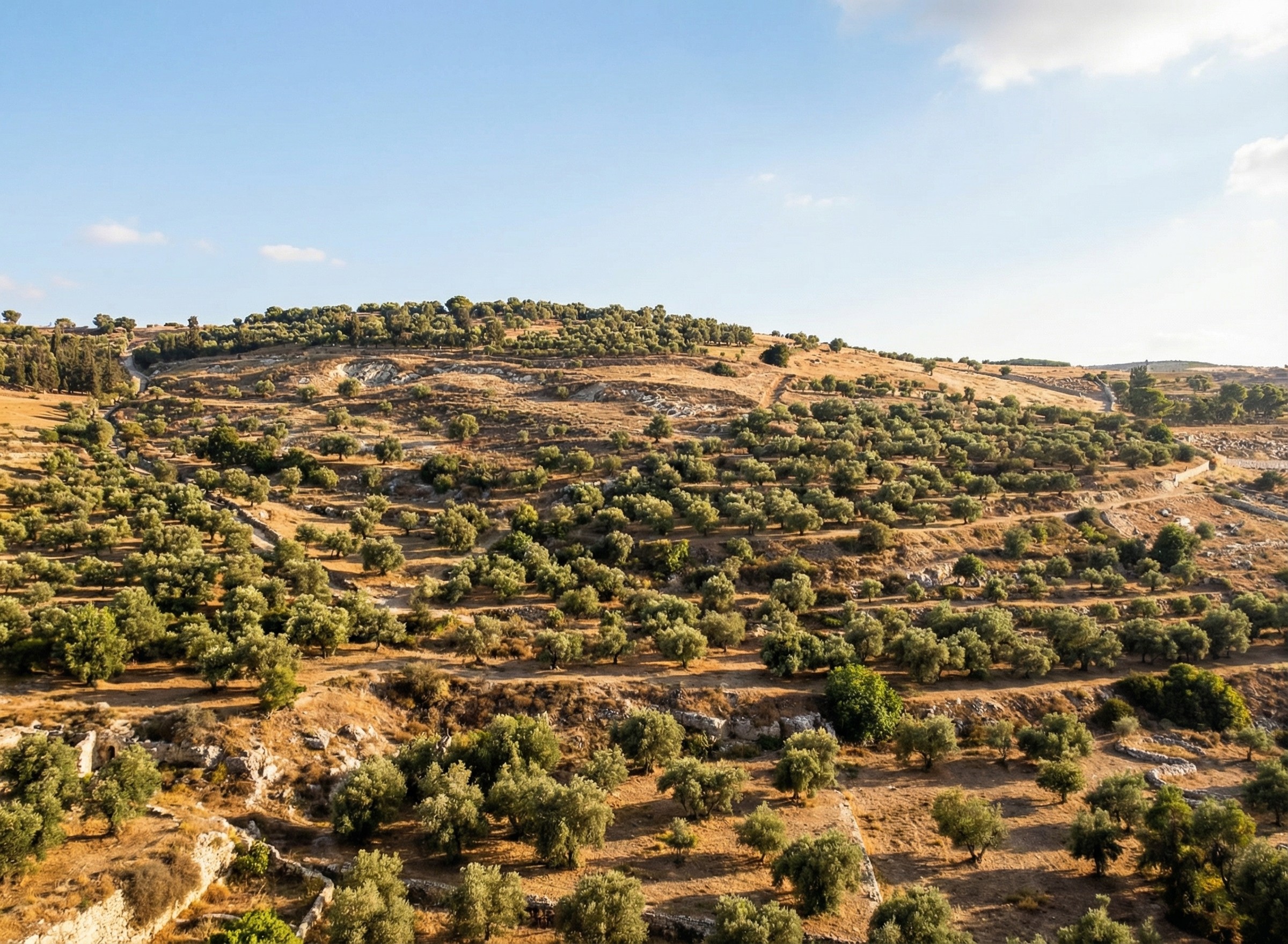 An AI rewilding of a nineteenth-century illustration of the Mount of Olives, minus features that were present then.