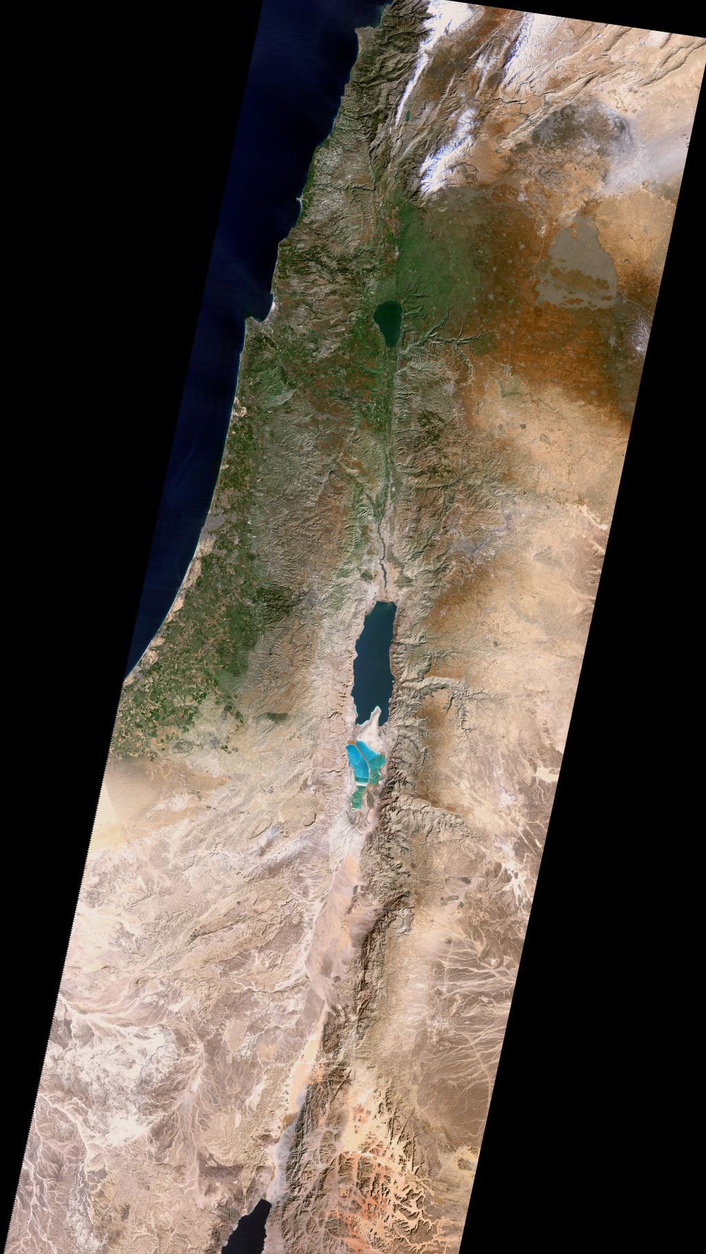 An attempt to match the look of Cleave's satellite imagery from 1999. This image stretches from Mount Hermon to the northern tip of the Gulf of Aqaba, and from near Gaza City to just past Damascus.