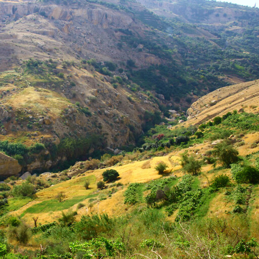 panorama of a wadi in Moab 1