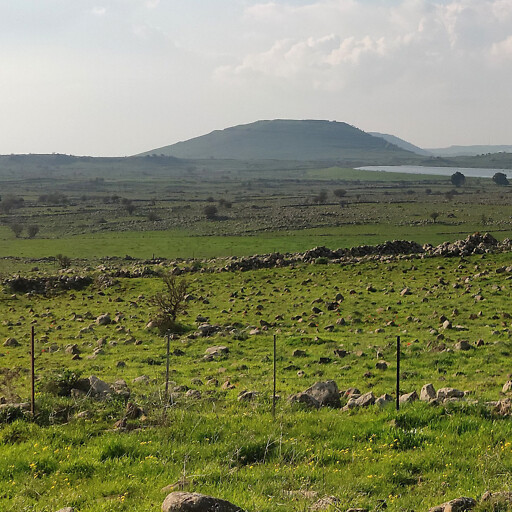 panorama of a plain in Bashan