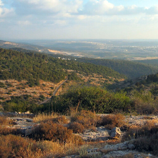 panorama of hills in Judea 2