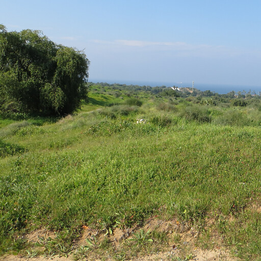 panorama of a coastal plain in Philistia