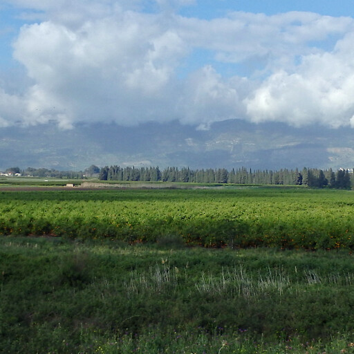 panorama of a plain in Maacah