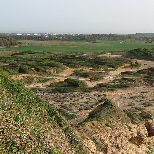 panorama of an area on the coast in the Sharon Plain