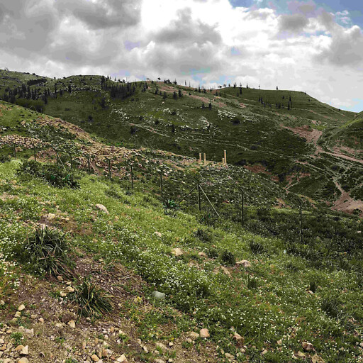 panorama of Pella, a city of the Decapolis