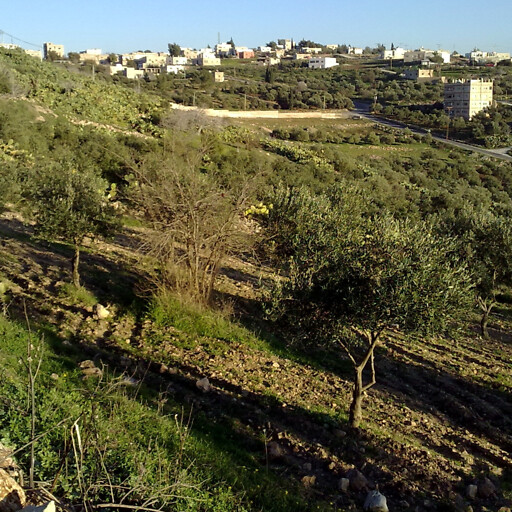 natural area in Hauran