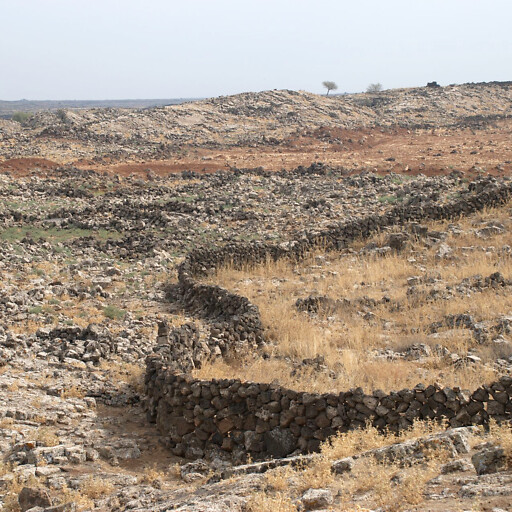 panorama of a plain in the Argob