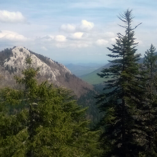 panorama of a natural area in Dalmatia