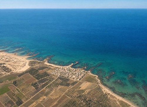 Archive record 13: Caesarea and the dunes. View toward the northeast.
