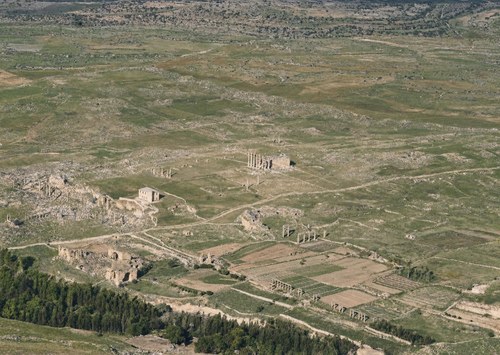 Gerasa I: northern half. View toward the northeast.