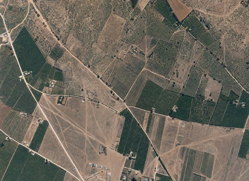 Archive record 100: Southwest of Sarona, orchards and fields (vertical photograph)