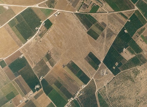 Archive record 100a: Southwest of Sarona, orchards and fields (vertical photograph)