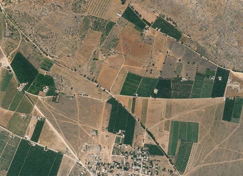 Archive record 100b: Southwest of Sarona, orchards and fields (vertical photograph)