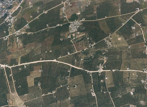 Archive record 102: orchards and fields east of Jaffa with Seknet Abu Kebir (vertical photograph)