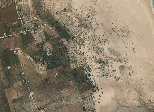 Archive record 104: South of Jaffa and southeast of Seknet ed-Jebeliye