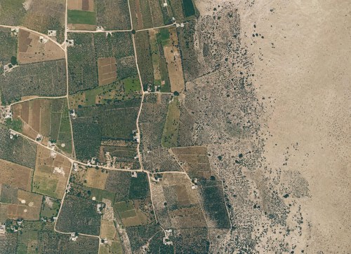 Archive record 104a: South of Jaffa and southeast of Seknet ed-Jebeliye