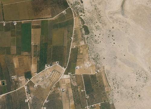 Archive record 105: orchards and fields southeast of Jaffa, eastern continuation of no. 103 (vertical photograph)