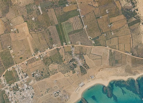 Archive record 106: orchards and fields east of Jaffa with Wadi Musara, eastern continuation of no. 101