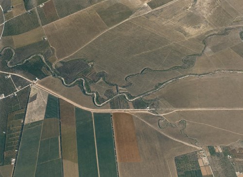 Archive record 110: terrain between Selma, Nebrak and Jazur