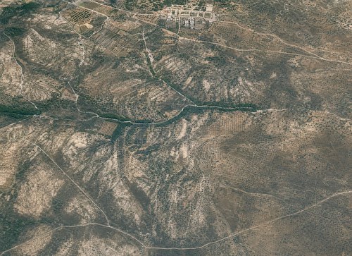 Archive record 141a: terrain between the colony Wilhelma and Mulebbis