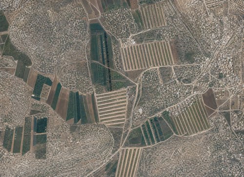 Archive record 153: Northeast of et-Tire with Burj el-Hanije