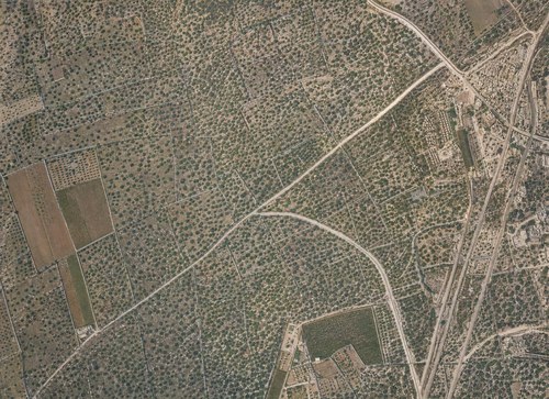 Archive record 173b: West of Lidd, military camp (vertical photograph), southern continuation of no. 172