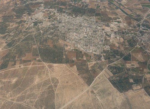 Archive record 179: Lidd-er-Ramle: overview of the entire terrain