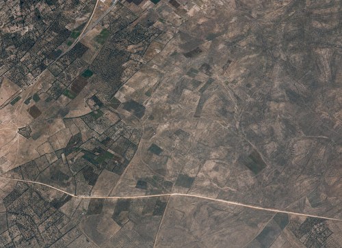 Archive record 185b: er-Ramle, similar to no. 184 with northern continuation