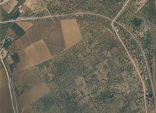 Archive record 190d: North of er-Ramle, eastern continuation of no. 189