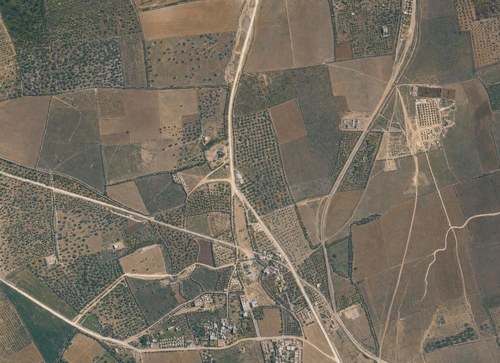 Archive record 191: Northeast of er-Ramle, 1 km