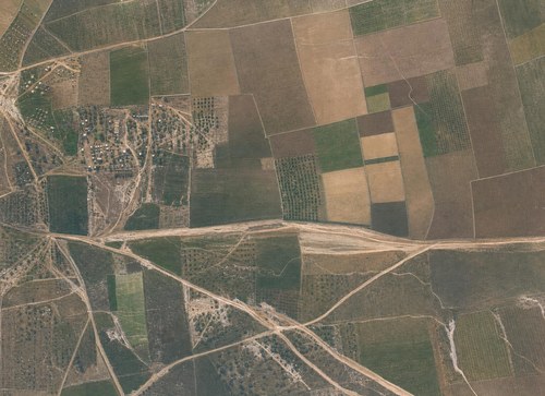 Archive record 199a: South of er-Ramle: 1,5 km