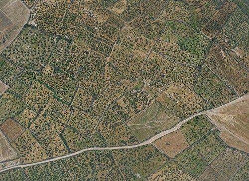 Archive record 200f: Southwest of er-Ramle, 3 km terrain with Dschoret er-Ramle, Tell Bakkisch and Tell el-Battich