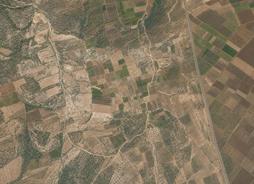 Archive record 201: Southwest of er-Ramle