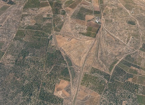 Archive record 205d: West of er-Ramle, western continuation of no. 204