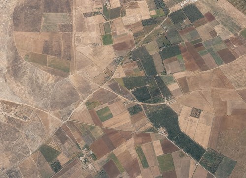 Archive record 205i: West of er-Ramle, western continuation of no. 204