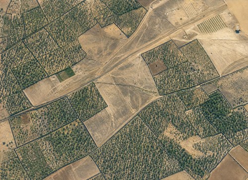 Archive record 205l: West of er-Ramle, western continuation of no. 204
