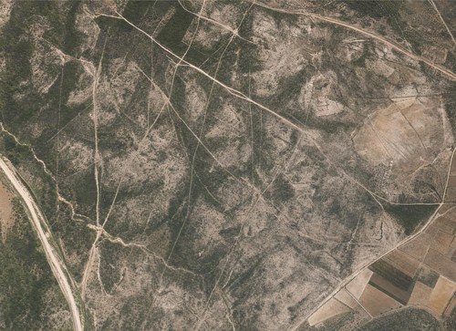 Archive record 223: Northwest of Sarafand: 2 km