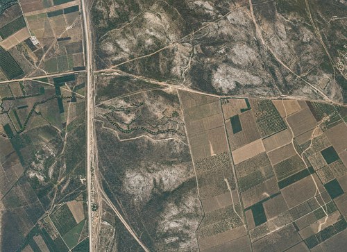 Archive record 226: North of Sarafand