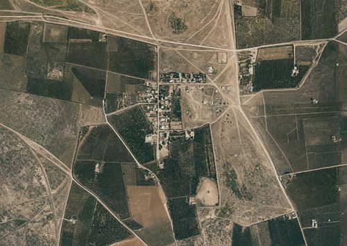 Archive record 244: colony Nes Ziona with orchards and fields