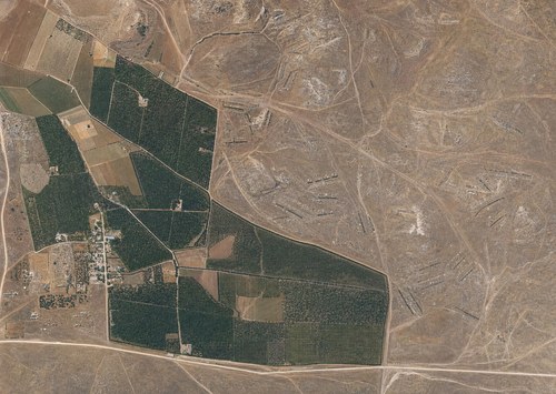 Archive record 258: North of Nes Ziona, similar to no. 250