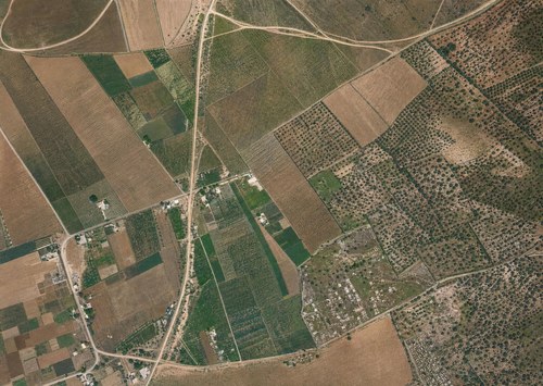 Archive record 271a: Bir-Salem and immediate surroundings
