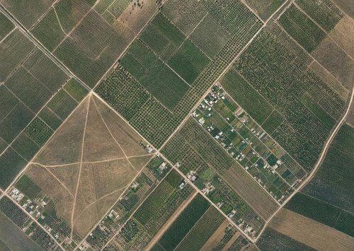 Archive record 286: colony Rechowot and immediate eastern surroundings with orchards and fields