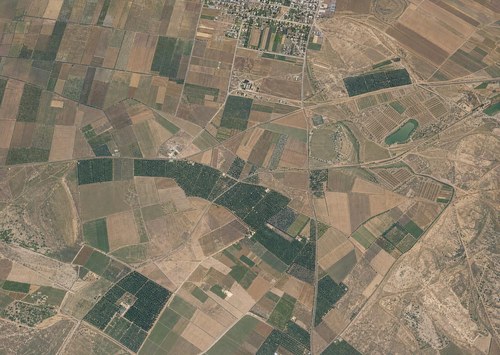 Archive record 293: colony Rechowot and northern surroundings to Bir-Salem, railway to Gaza