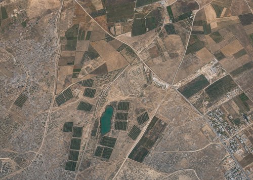 Archive record 294d: Northwest of Khirbet Daran
