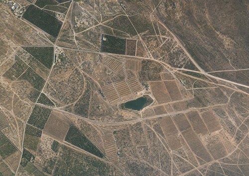 Archive record 296b: West of the colony Rechowot