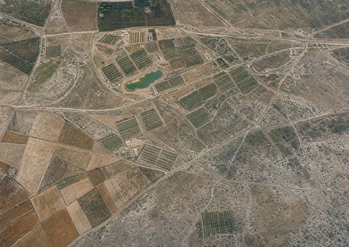 Archive record 301: West of Khirbet Daran
