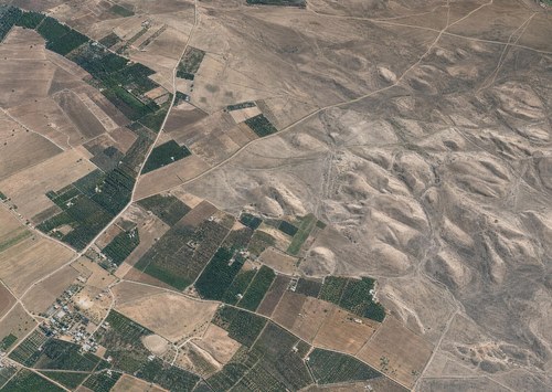 Archive record 335: terrain between el-Kubebe and Nes Ziona