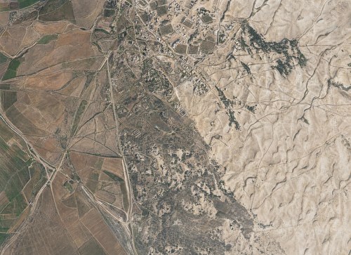 Archive record 361q: Southeast of Nebi Junis, Windungen of the Nahr Sukrer