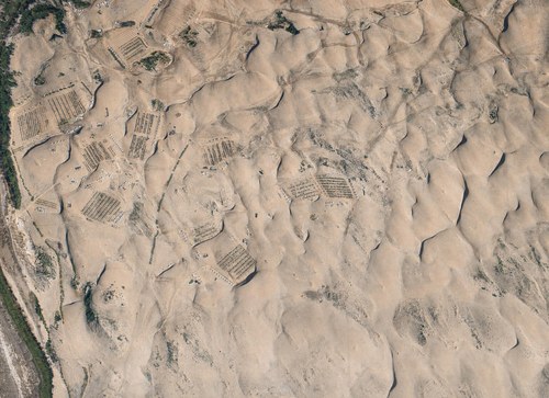 Archive record 365: South of Nebi Junis, sand dunes