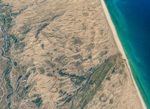 Archive record 365d: South of Nebi Junis, sand dunes